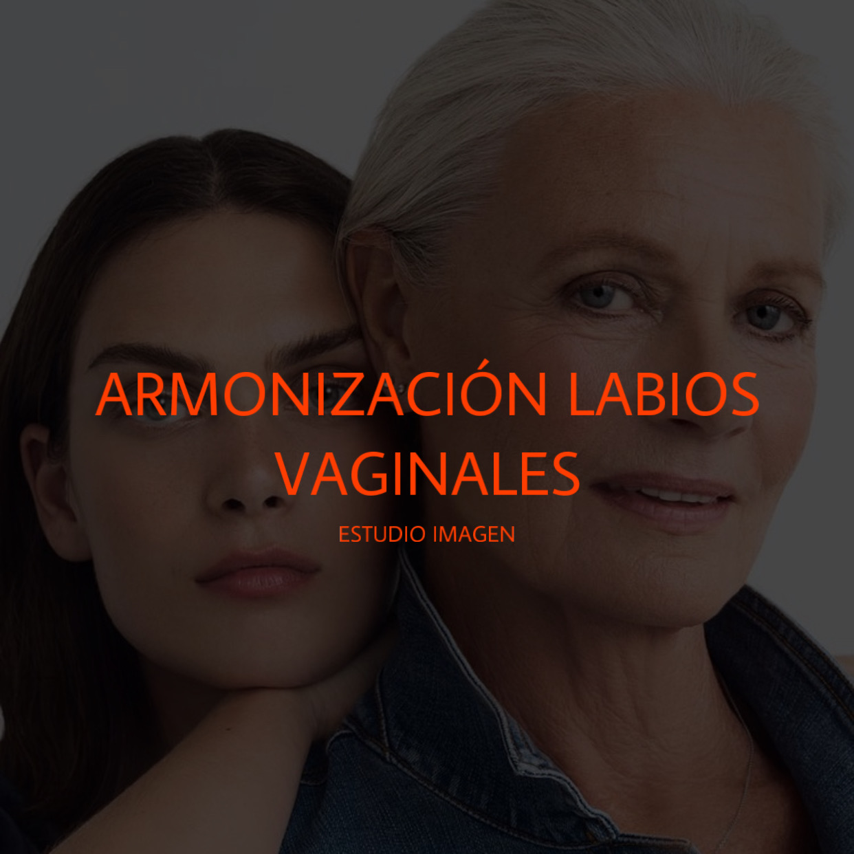 Armonizaci N Labios Vaginales Estudio Imagen Centro De Est Tica En Barcelona